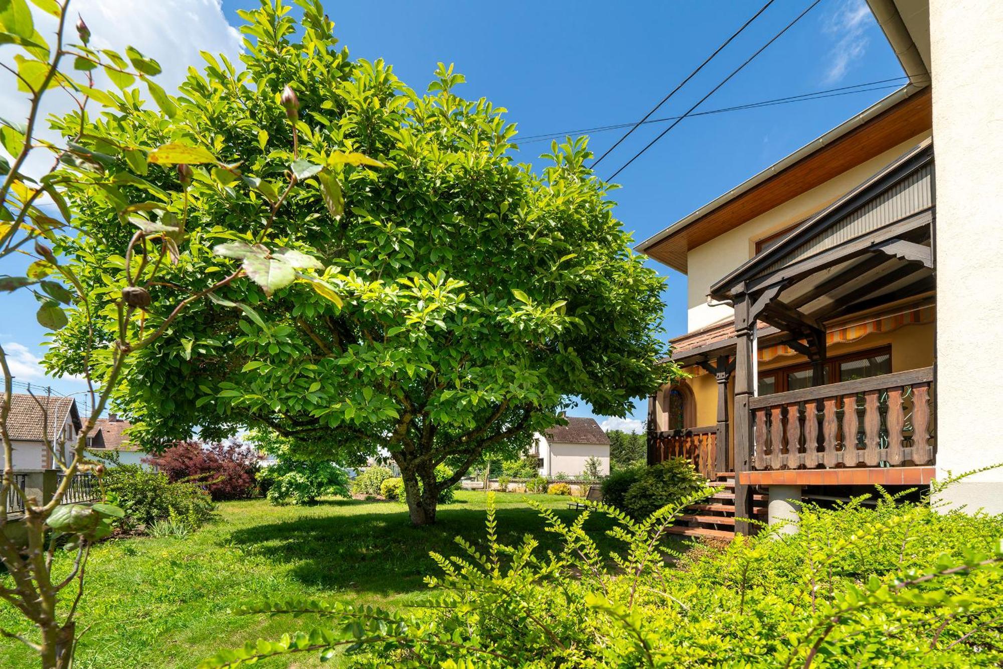 La Clef Des Songes Acomodação com café da manhã Mertzwiller Exterior foto
